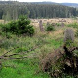 1109F 152 Trier-Paderborn